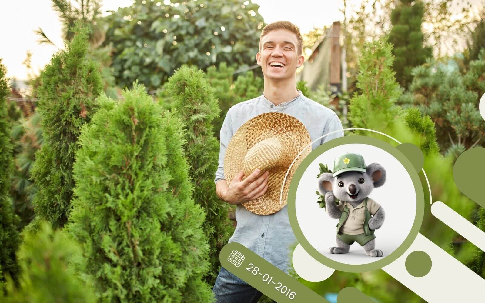 Iglaki w ogrodzie - jak je dobierać?