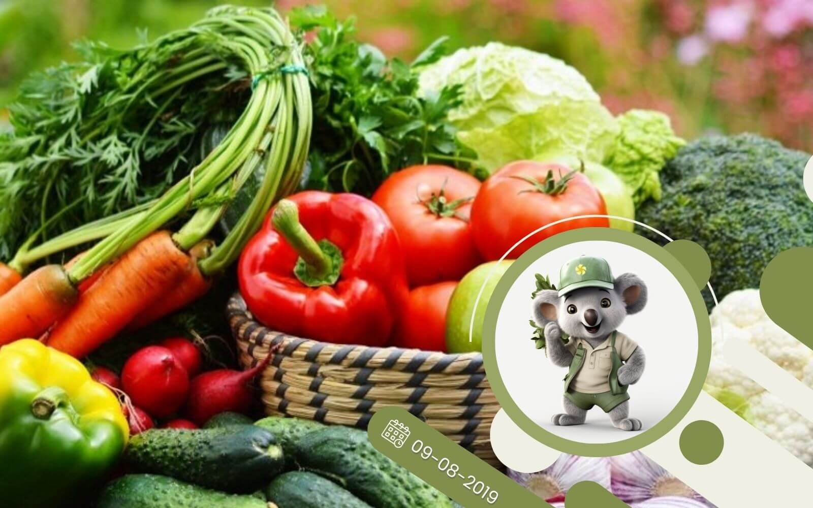 Jak przechowywać warzywa i owoce po zbiorach?