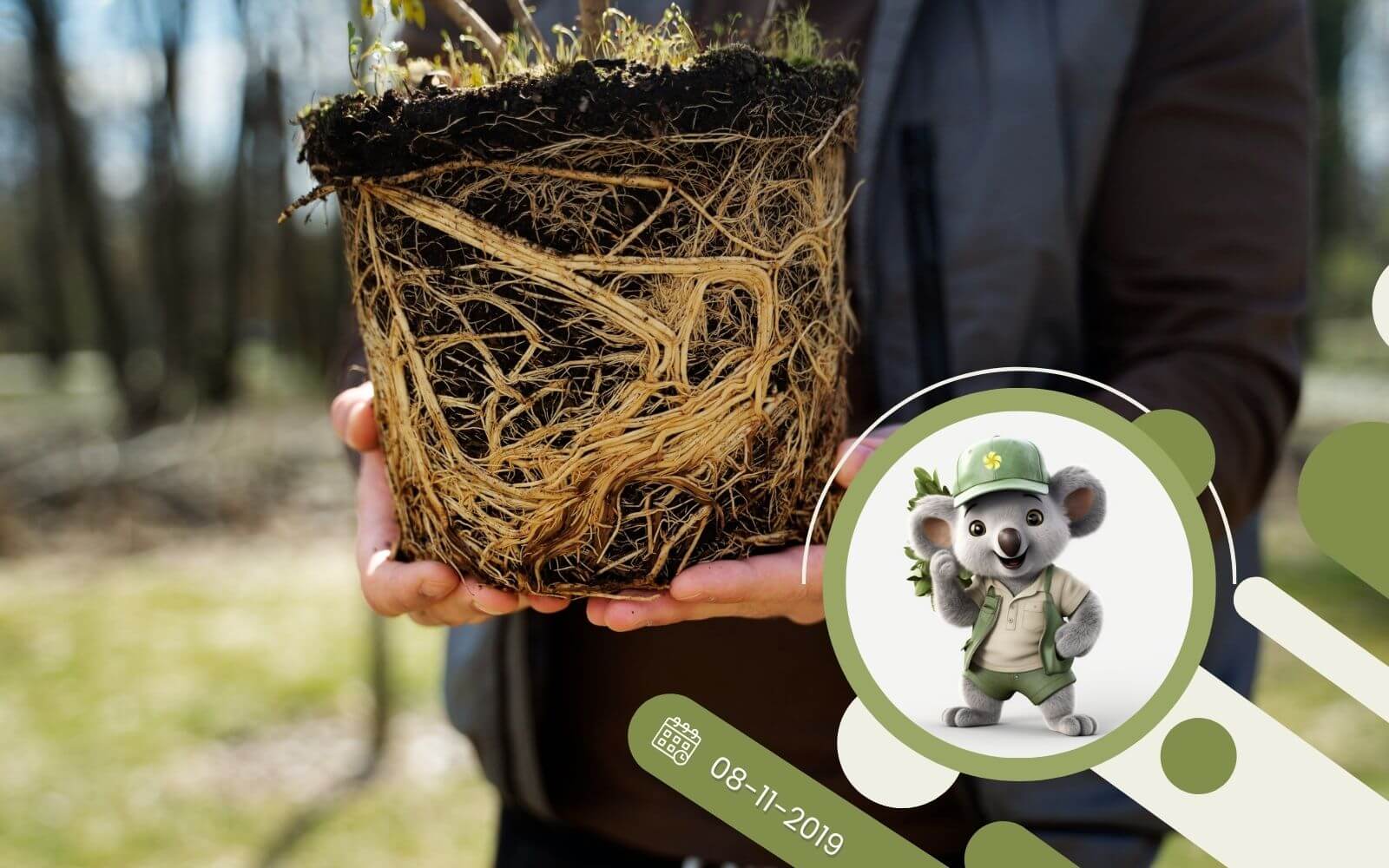 Jak wspomagać system korzeniowy roślin?