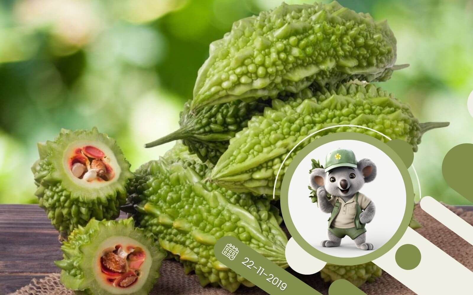 Balsamka ogórkowata uprawa z nasion