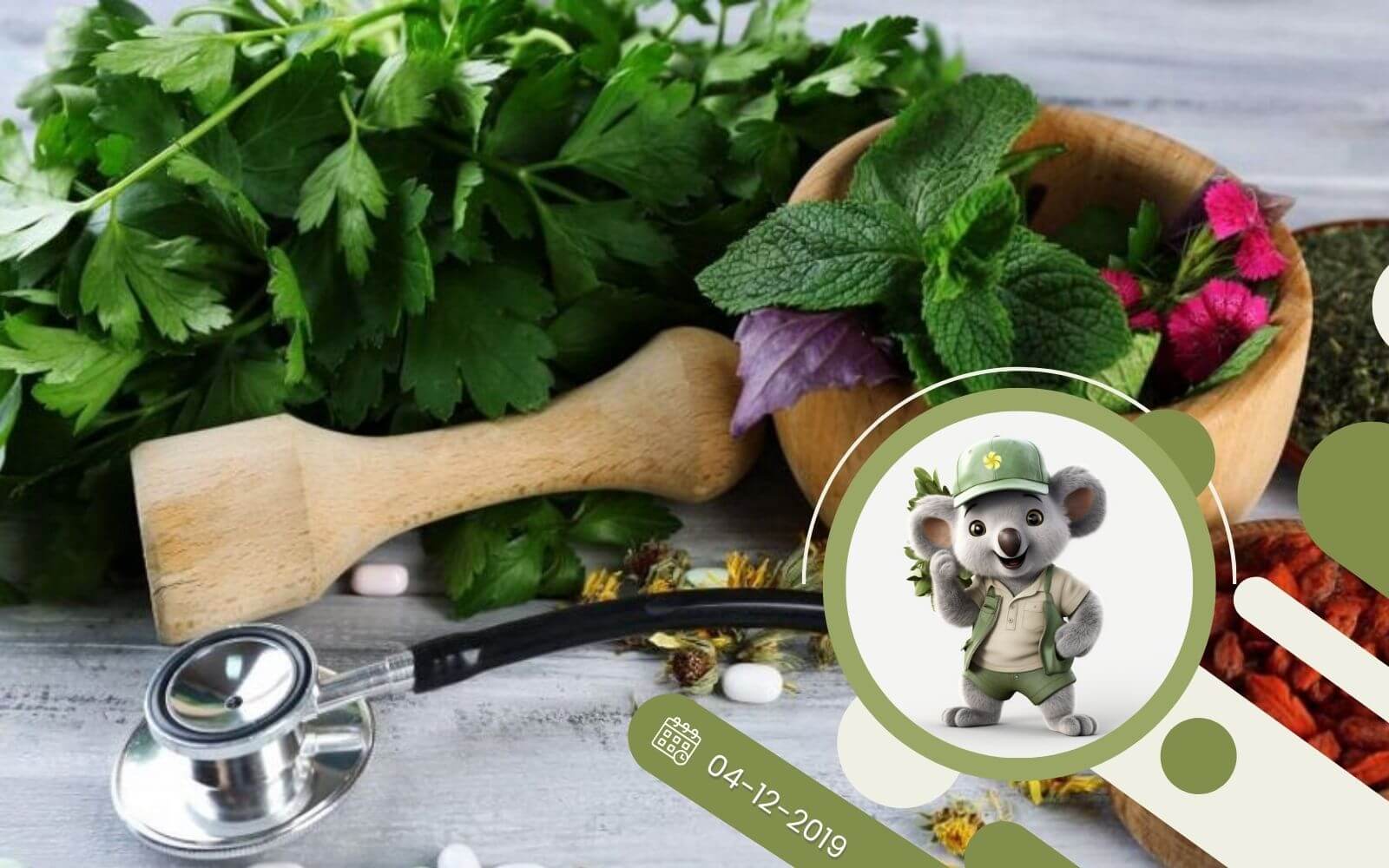 Leki z roślin - przydomowa apteka