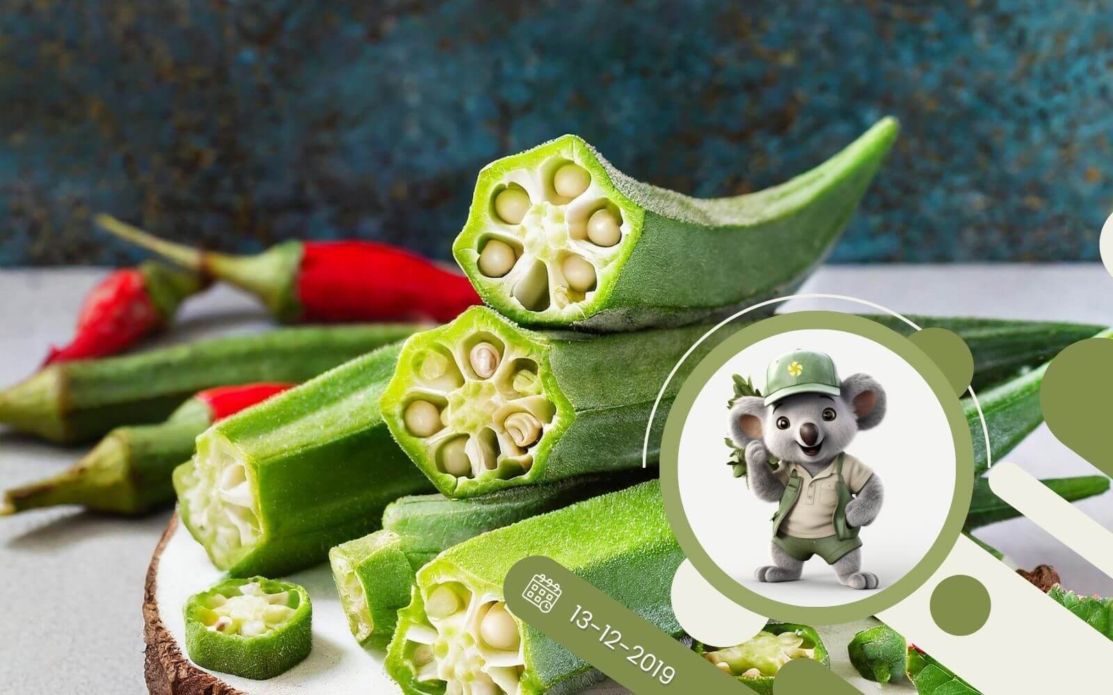 Okra - Piżmian jadalny - Ketmia jadalna - uprawa z nasion