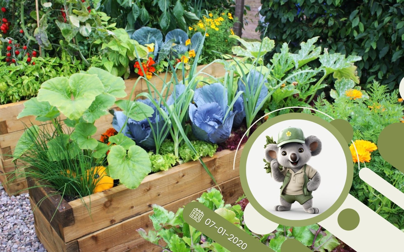 Własny warzywnik - sposobem na wegetariańską dietę