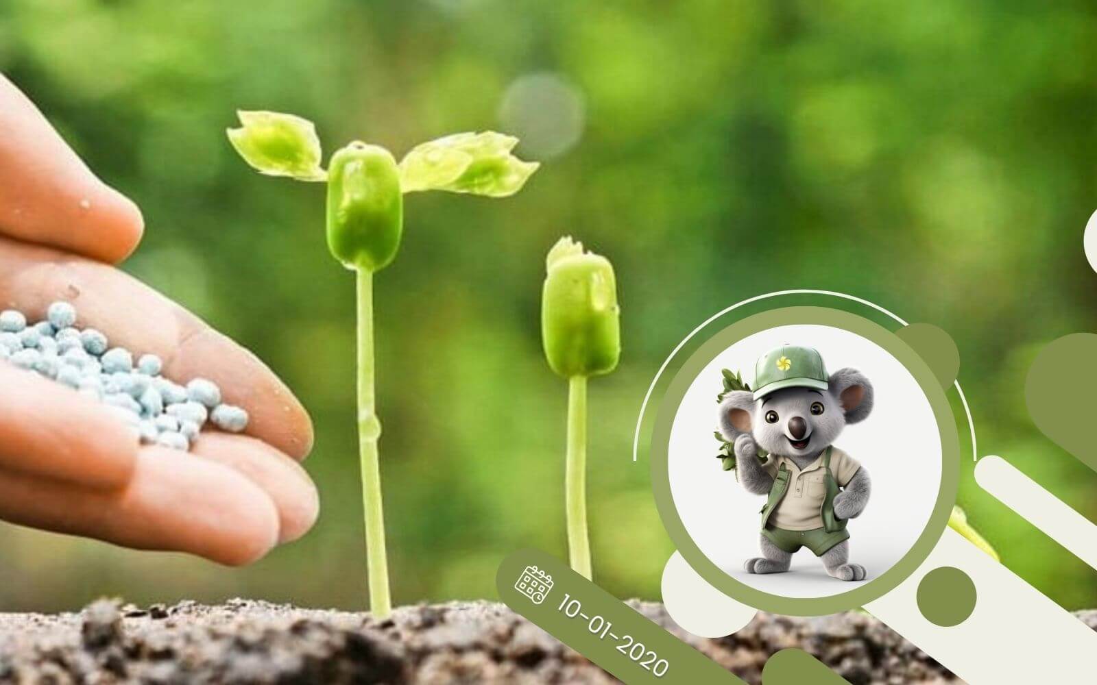 Do czego roślinom potrzebny jest azot?