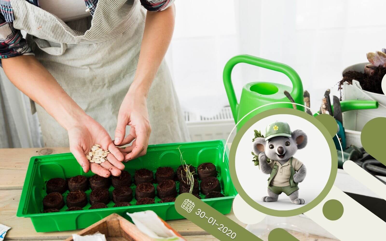 Wysiew pod osłonami - czyli jak zrobić rozsadę?