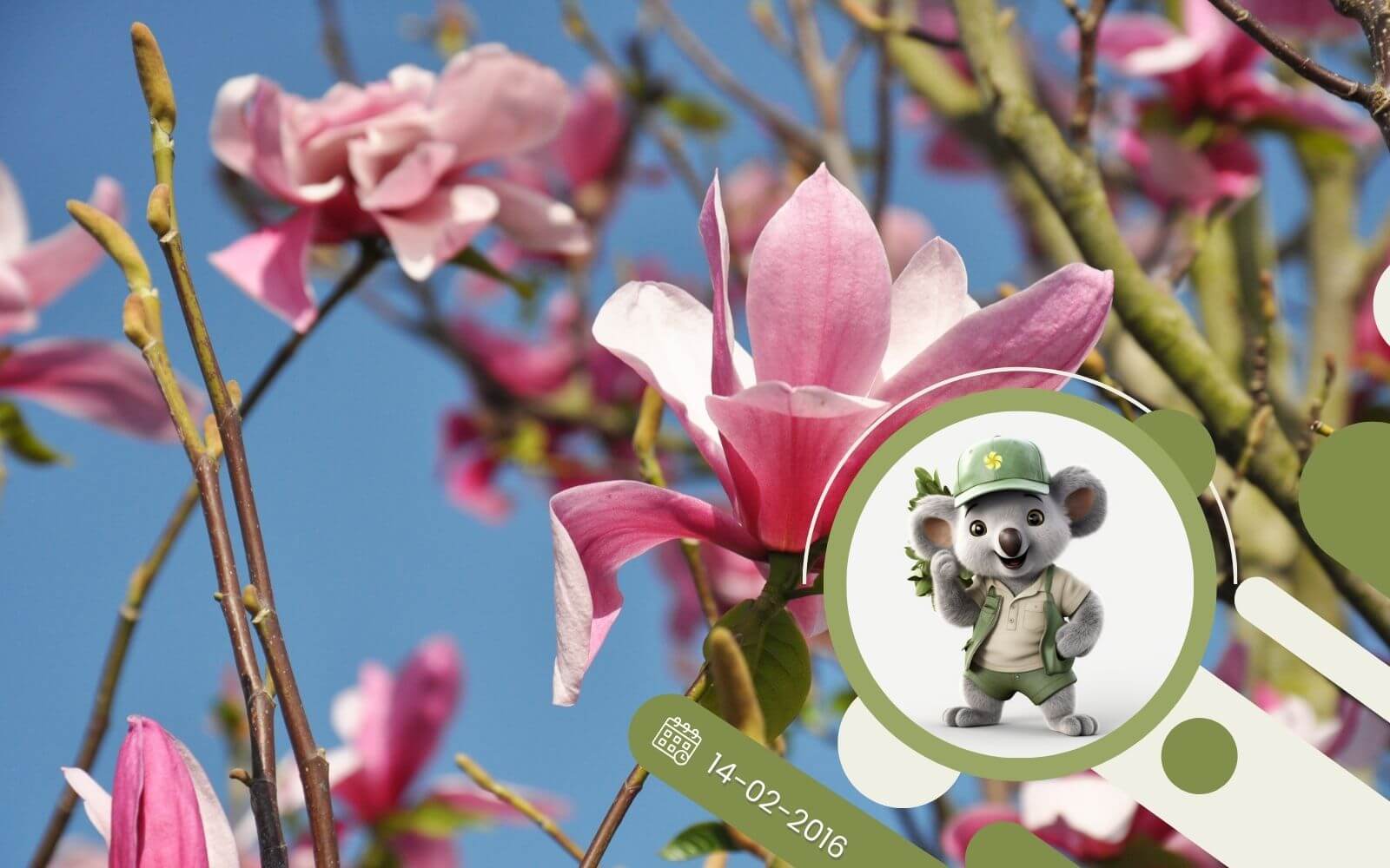 Jakie krzewy kwitną wczesną wiosną?