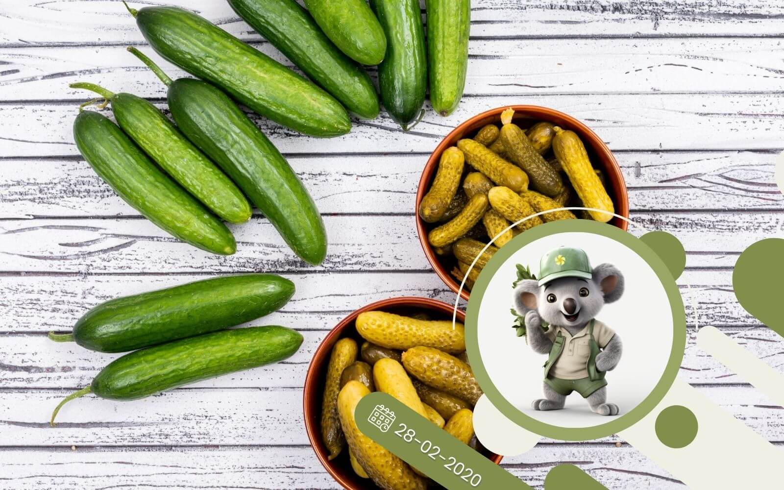 5 najlepszych odmian ogórka na sałatki, mizerię i kanapki