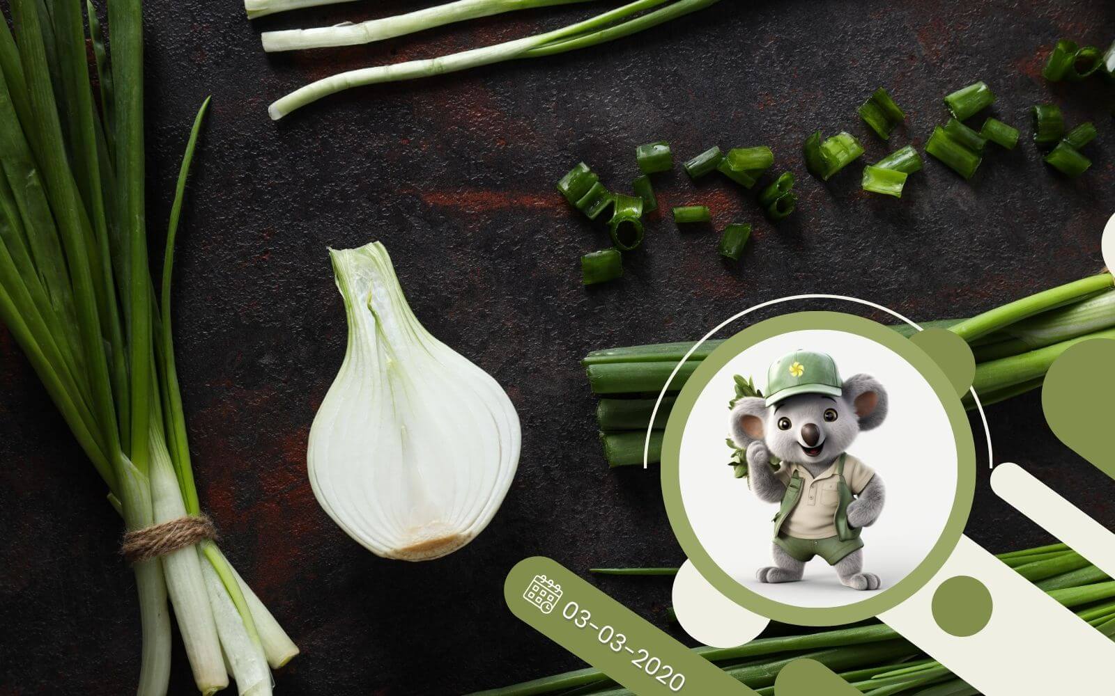 Cebula dymka - pierwsze wiosenne warzywo!