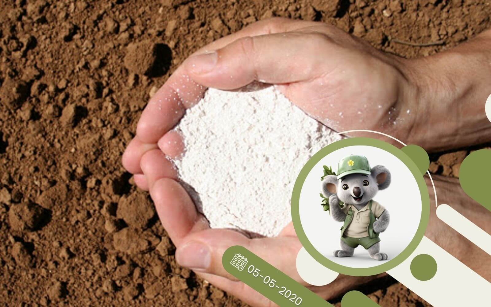 Dlaczego wapń jest niezbędny w uprawie roślin?