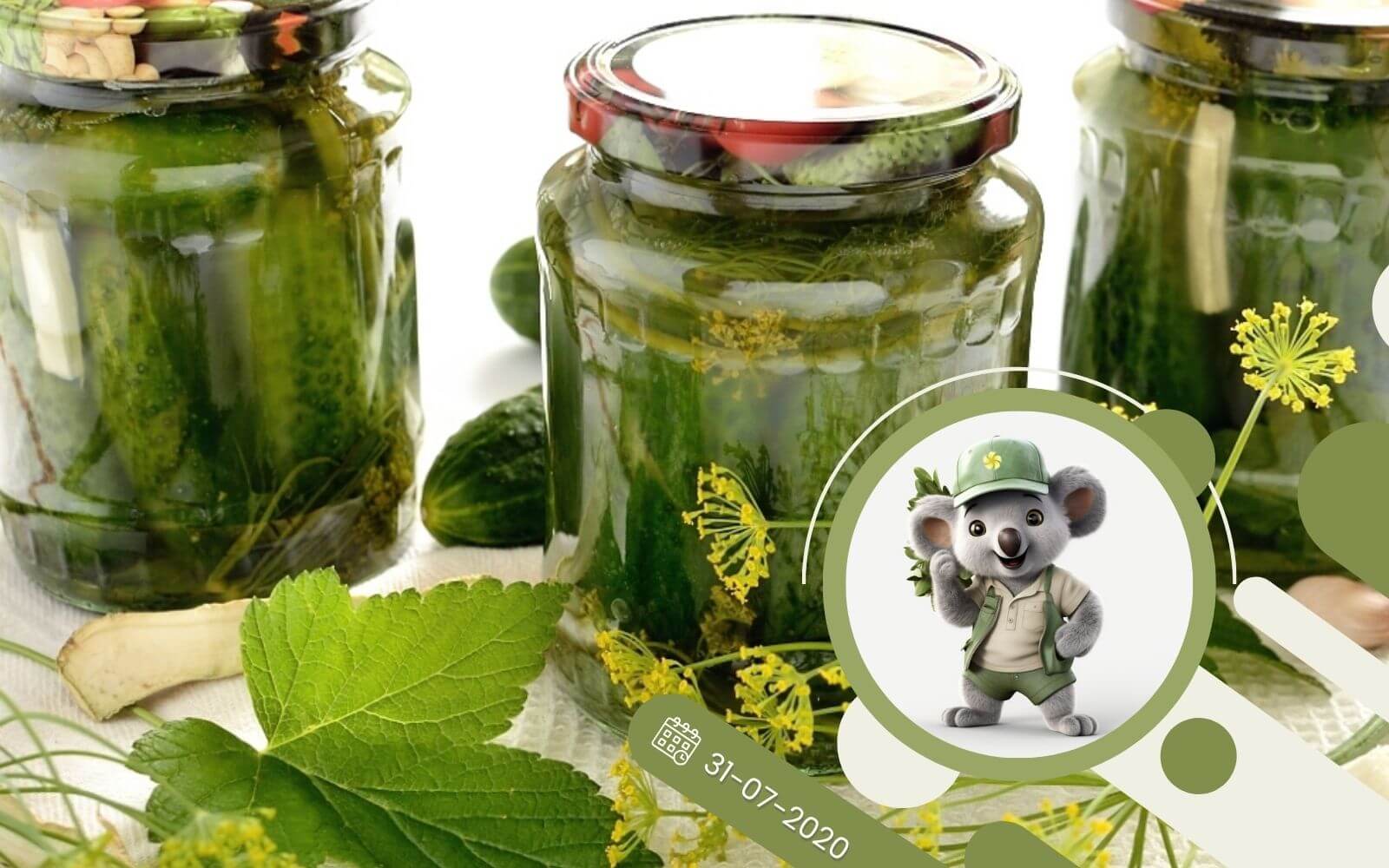 Kiszenie ogóra - nasze porady to nie bzdura!