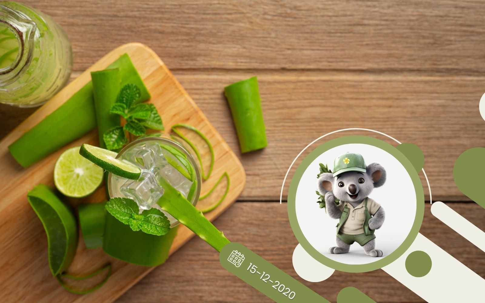 Aloes leczniczy – jak go wykorzystać?