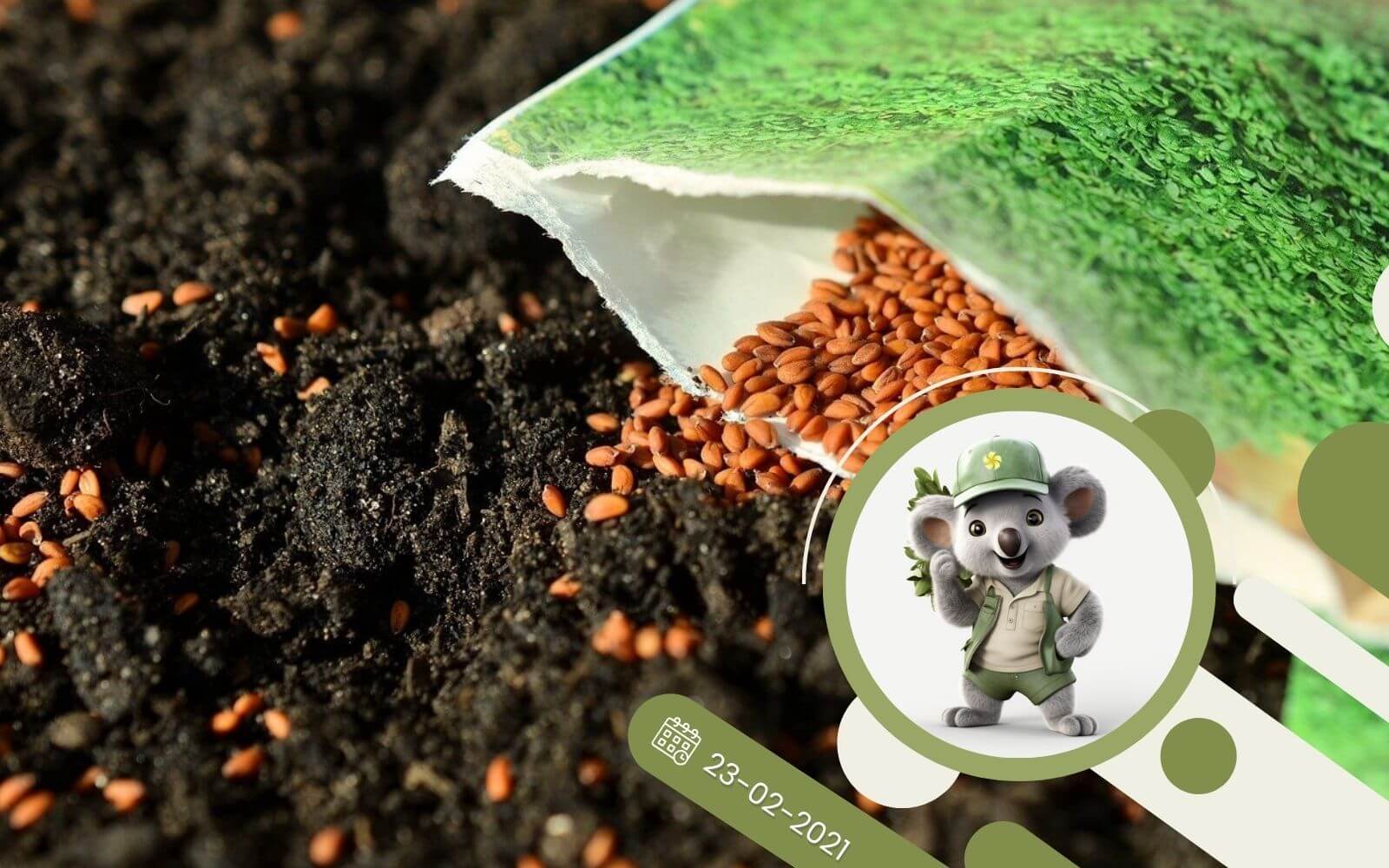 Przepis na idealne podłoże do wysiewu