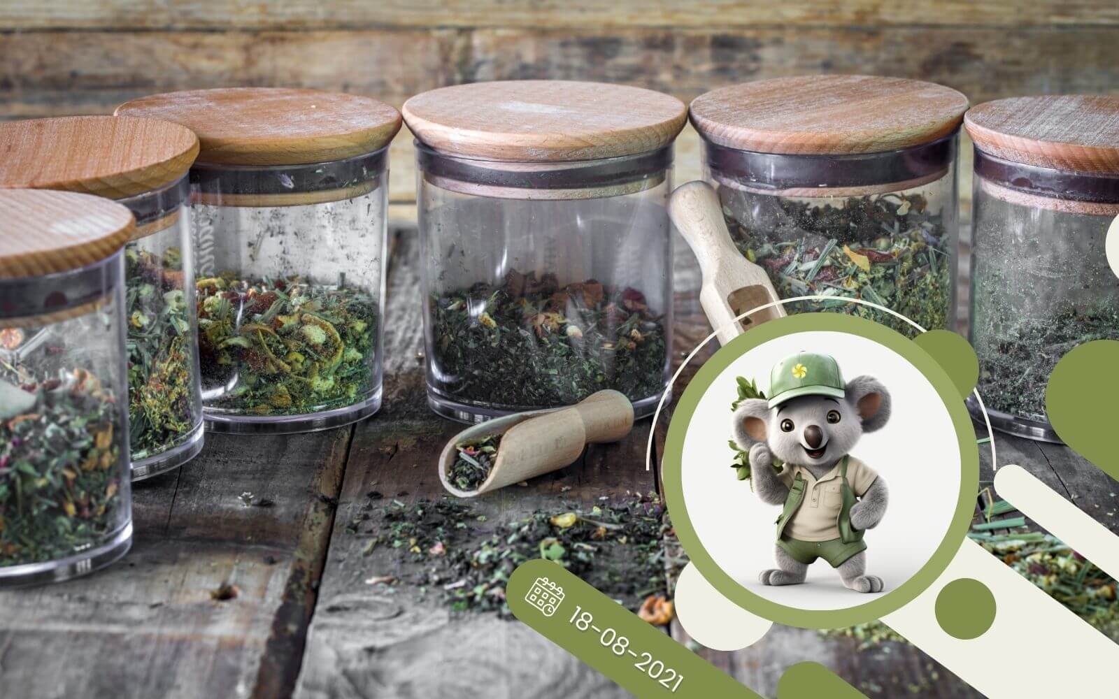 Mało znane zioła - Cząber, Estragon, Hyzop