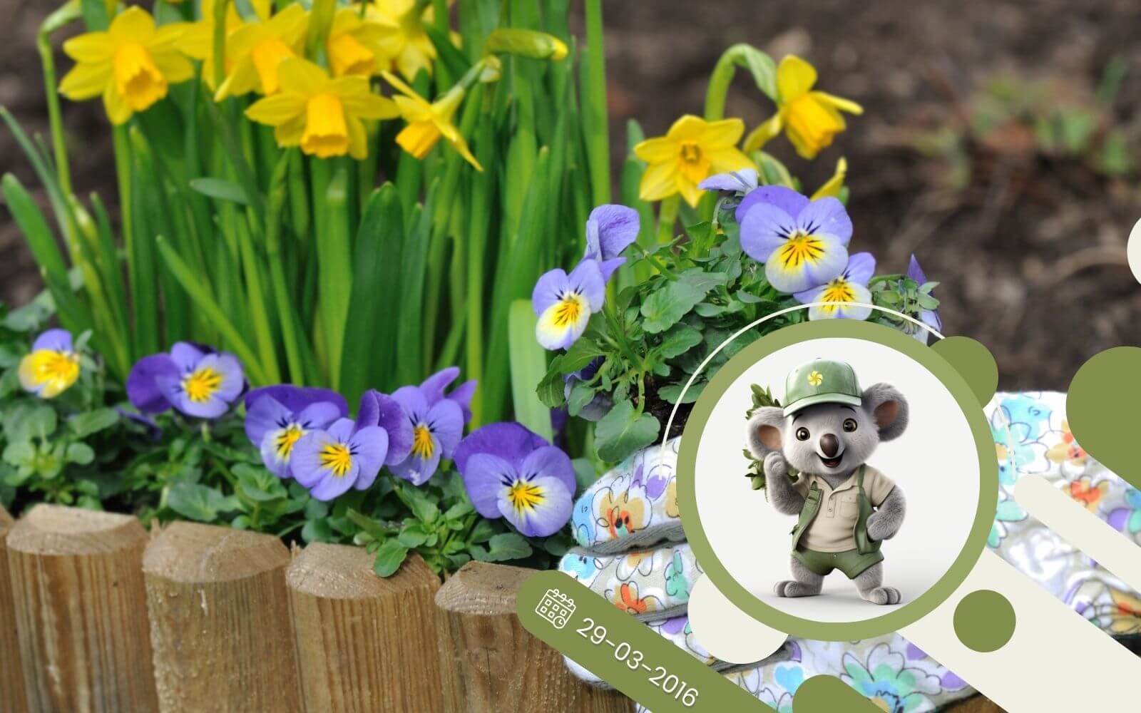 Kwiecień w ogrodzie