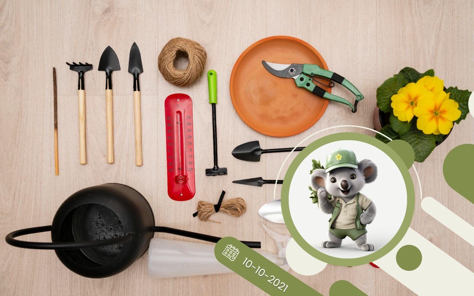 5 przydatnych produktów do uprawy roślin doniczkowych