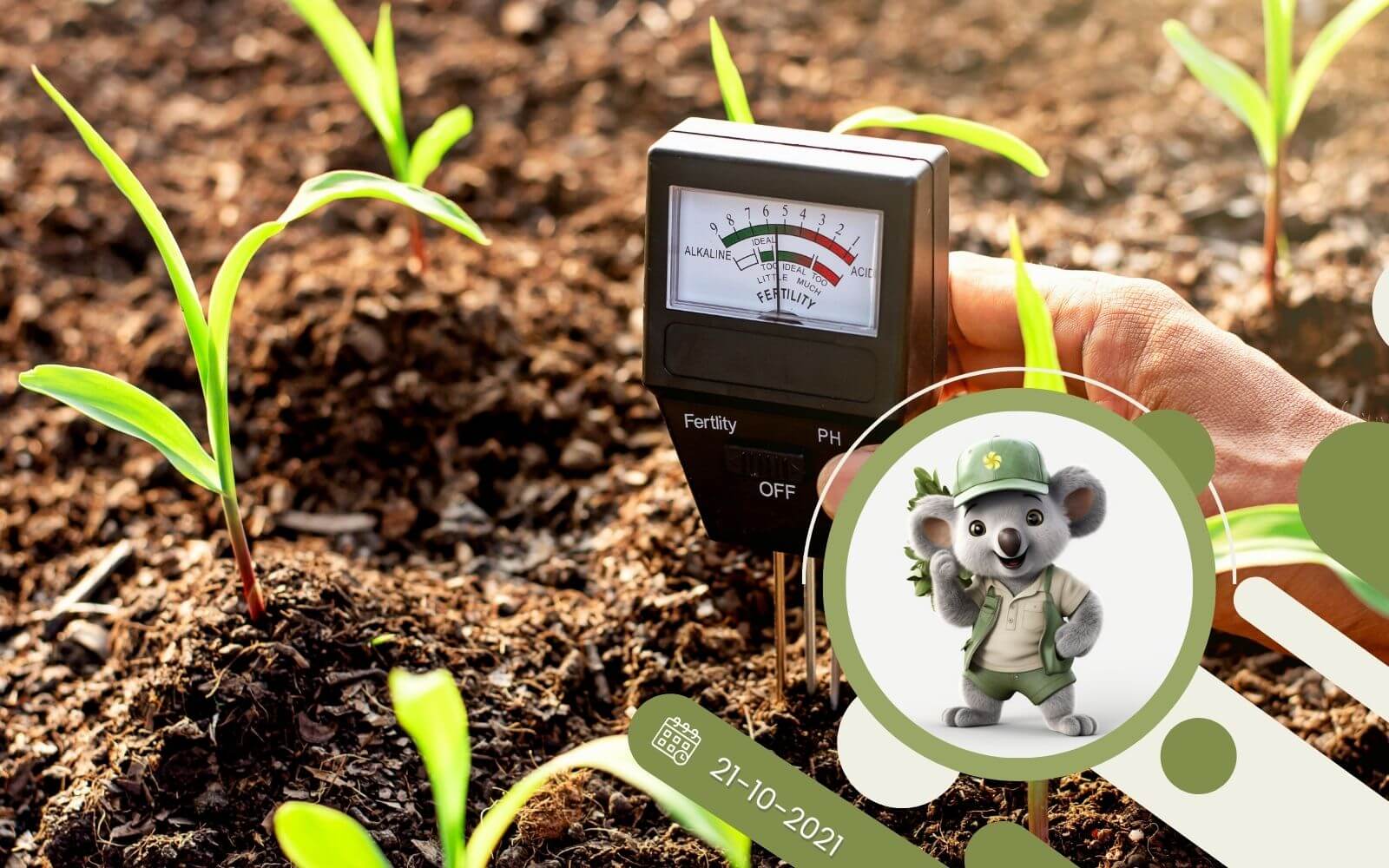 Zmęczona gleba - 5 sposobów na poprawę jakości gleby