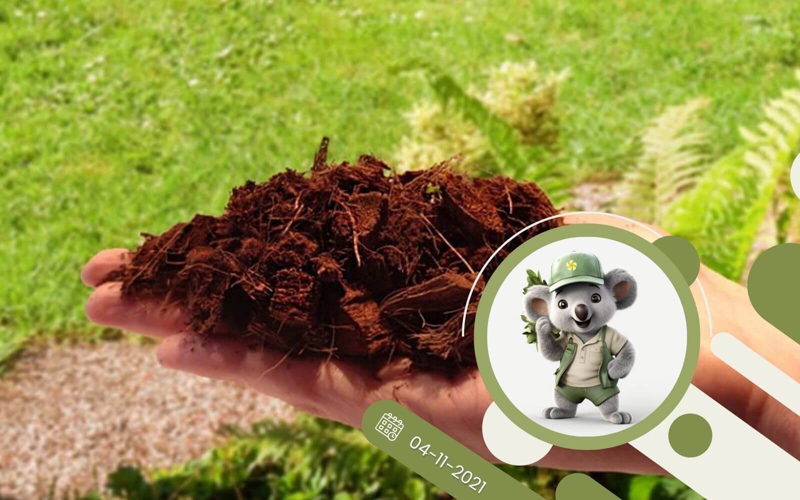 3 powody, dla których warto wybrać podłoże kokosowe