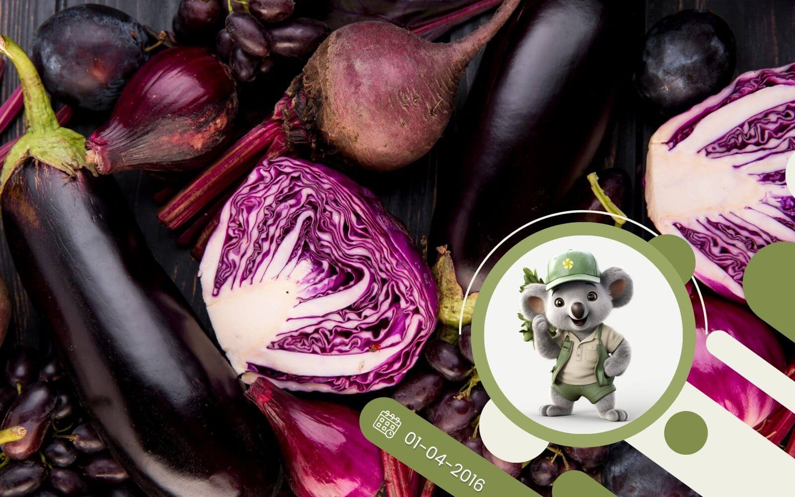 Na fioletowo - czyli oryginalny ogródek owocowo-warzywny