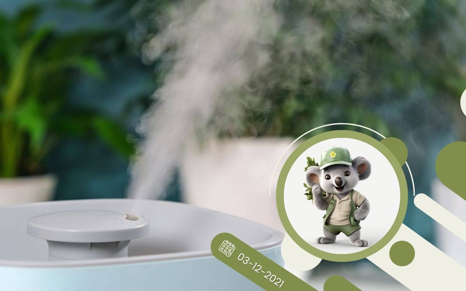 4 sposoby na poprawę powietrza w domu