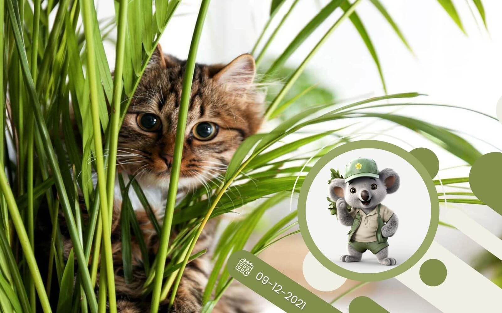 Bezpieczne rośliny dla Twojego pupila