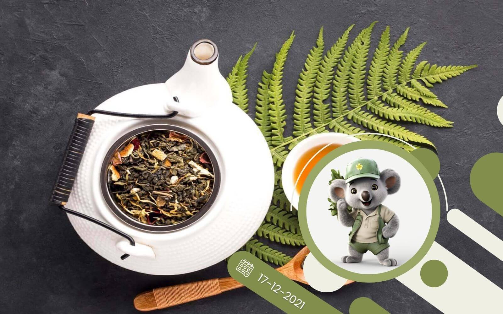 Ziołowe herbatki - poznaj ich uzdrowicielską moc