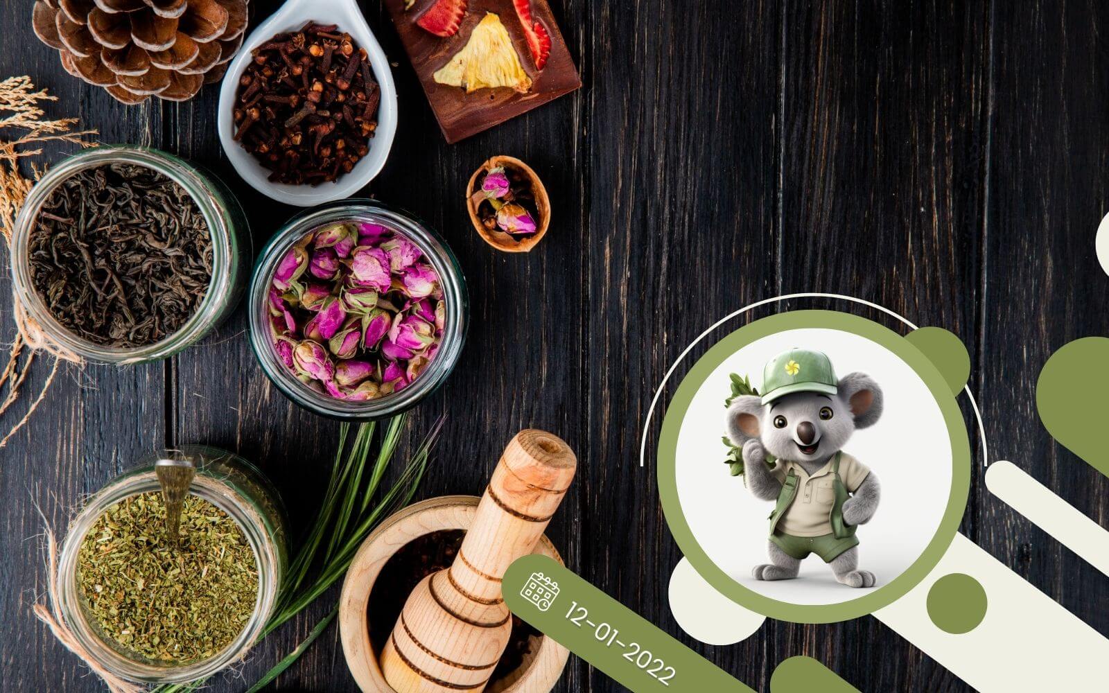 4 zioła, które wzmocnią Twój układ odpornościowy