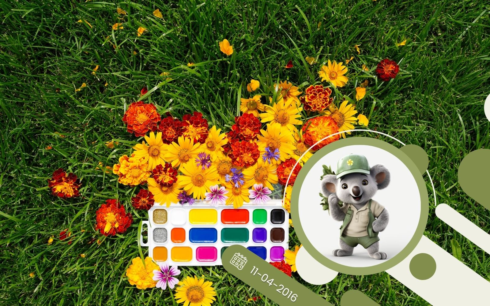 Kolorystyka w ogrodzie - jak łączyć kolory?