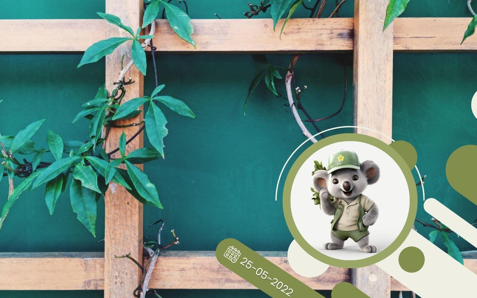 Podpieranie roślin dlaczego jest tak ważne?