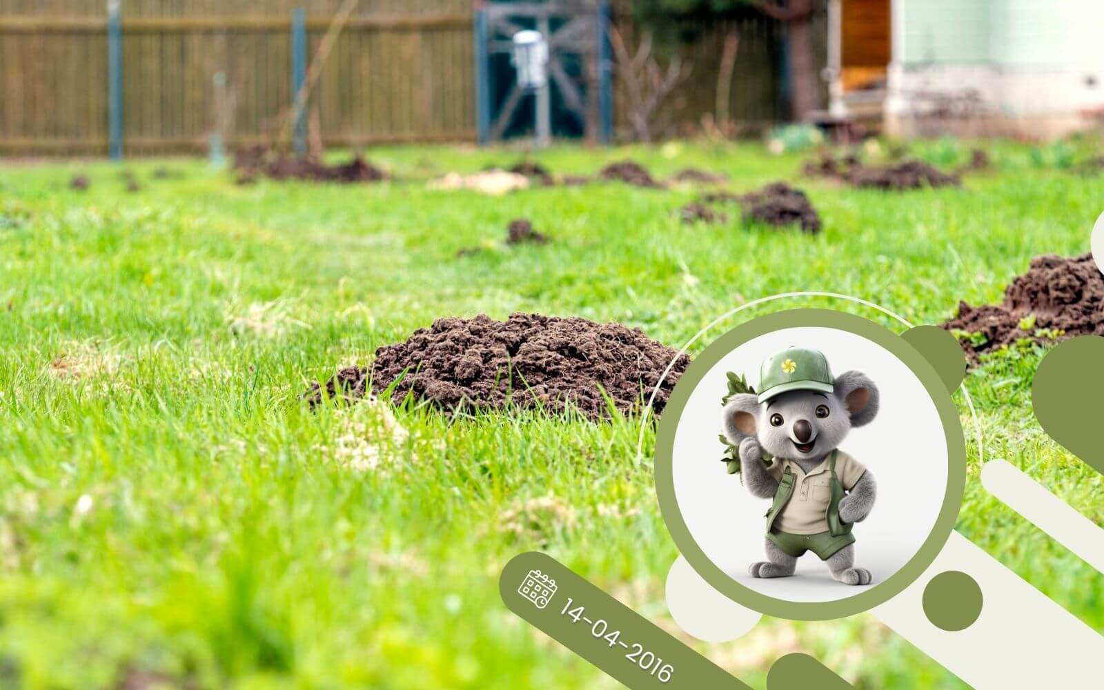 Jak pozybyć się kreta z ogrodu?