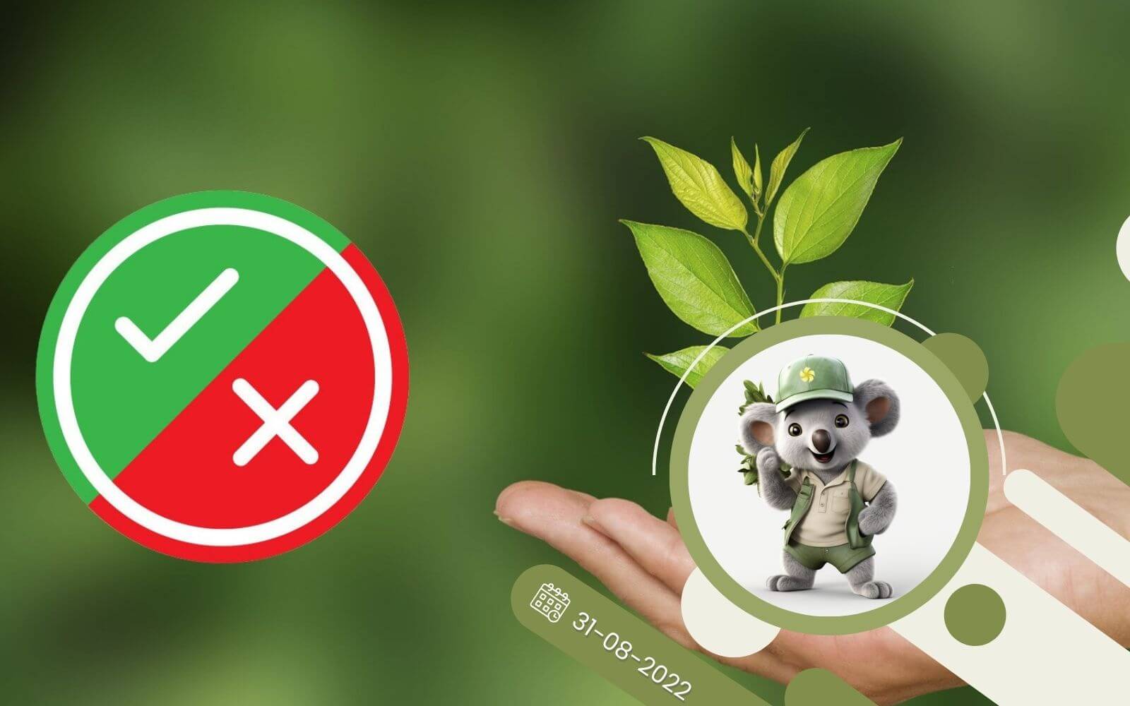 Obalamy 10 najczęstszych mitów ogrodniczych