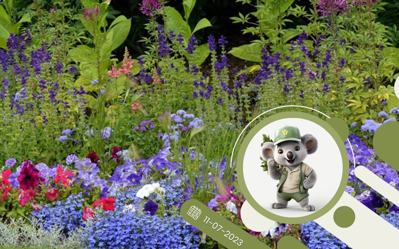 Rośliny jednoroczne – szybki i tani sposób na kolorowe rabaty kwiatowe