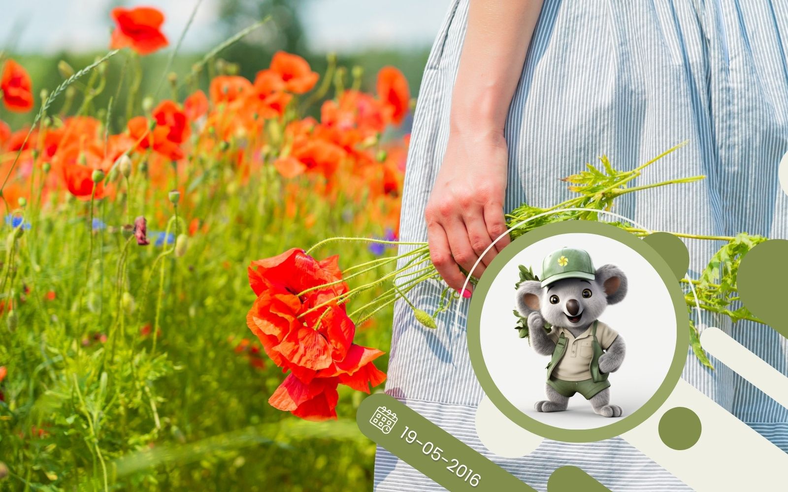 Maki w ogrodzie - ciekawostki, porady