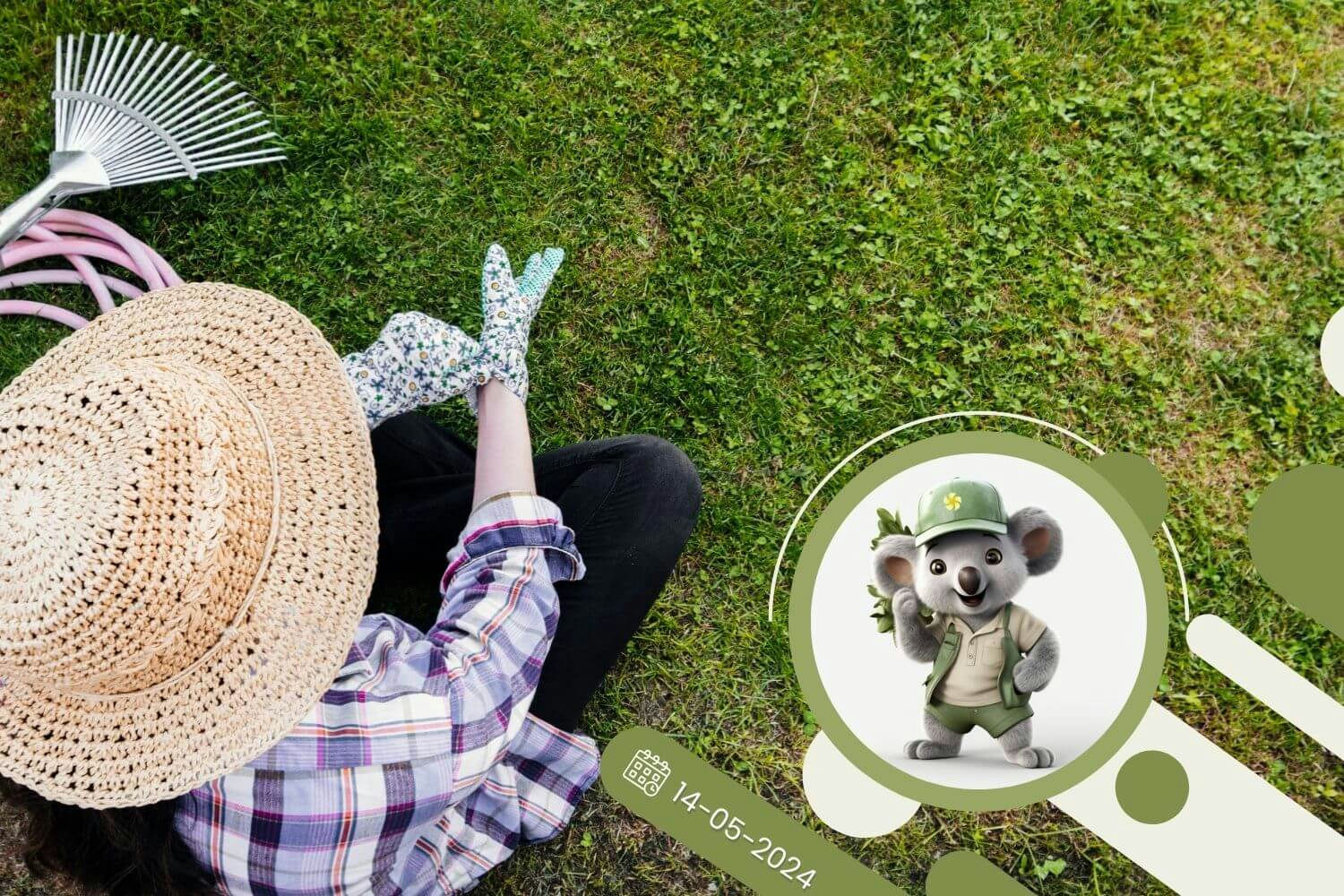 Rośliny zamiast trawnika