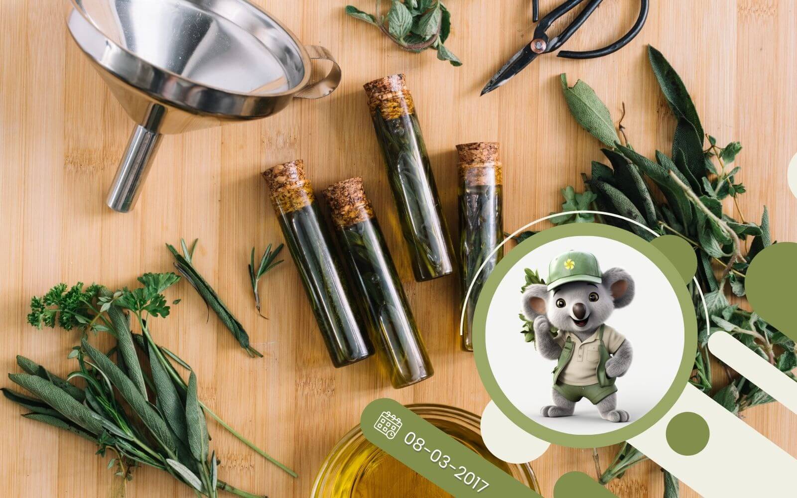 Zioła prowansalskie - sprawdzony przepis