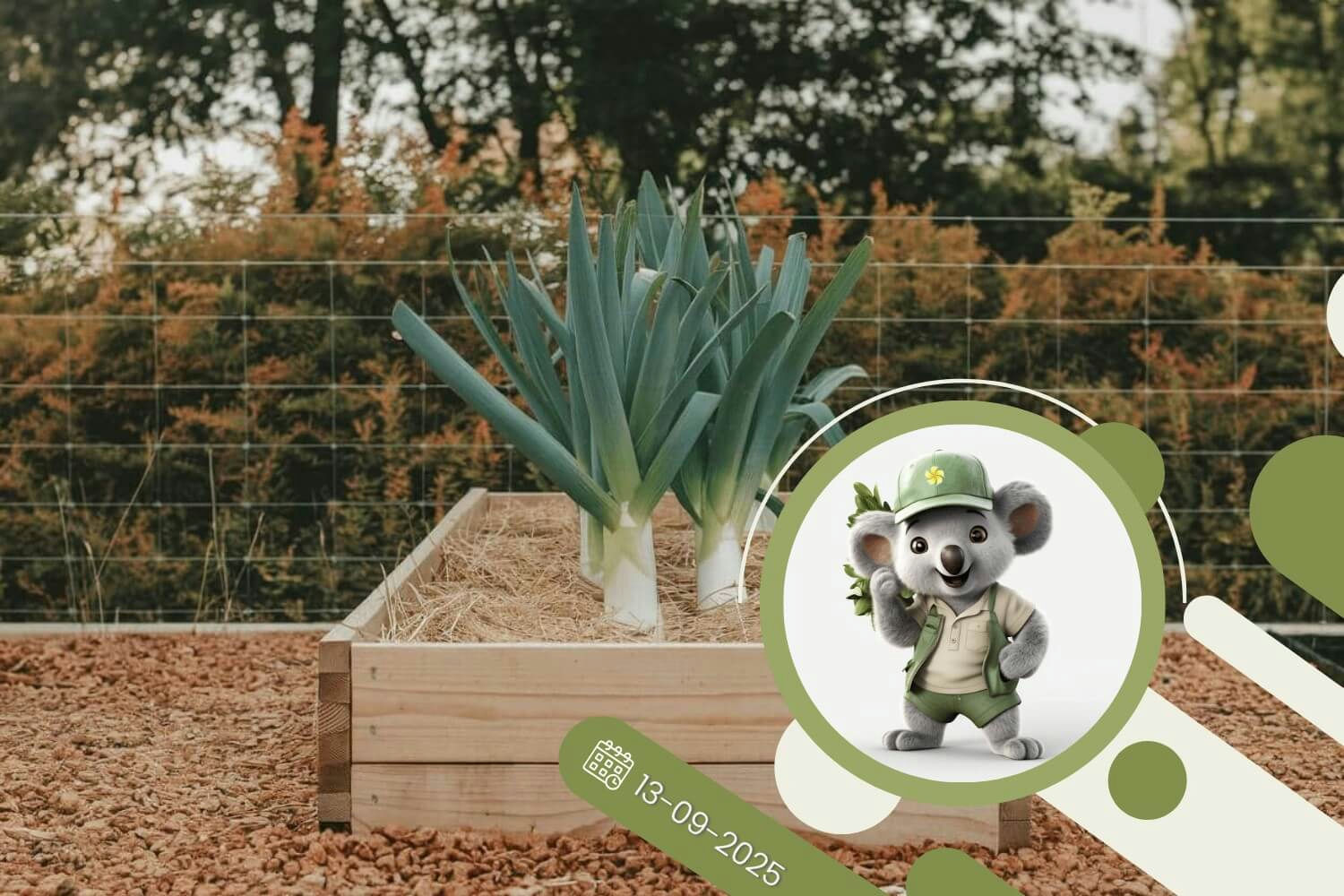 Ściółka w roli dywanu, czyli jak okryć grządki na bogato