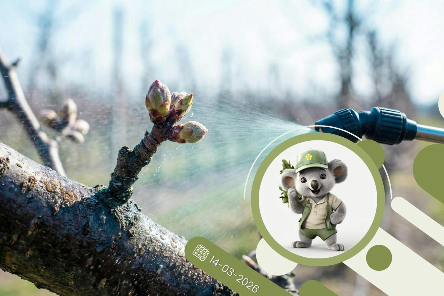 Miedzian na start - sprawdź kiedy opryskać sad i ogród