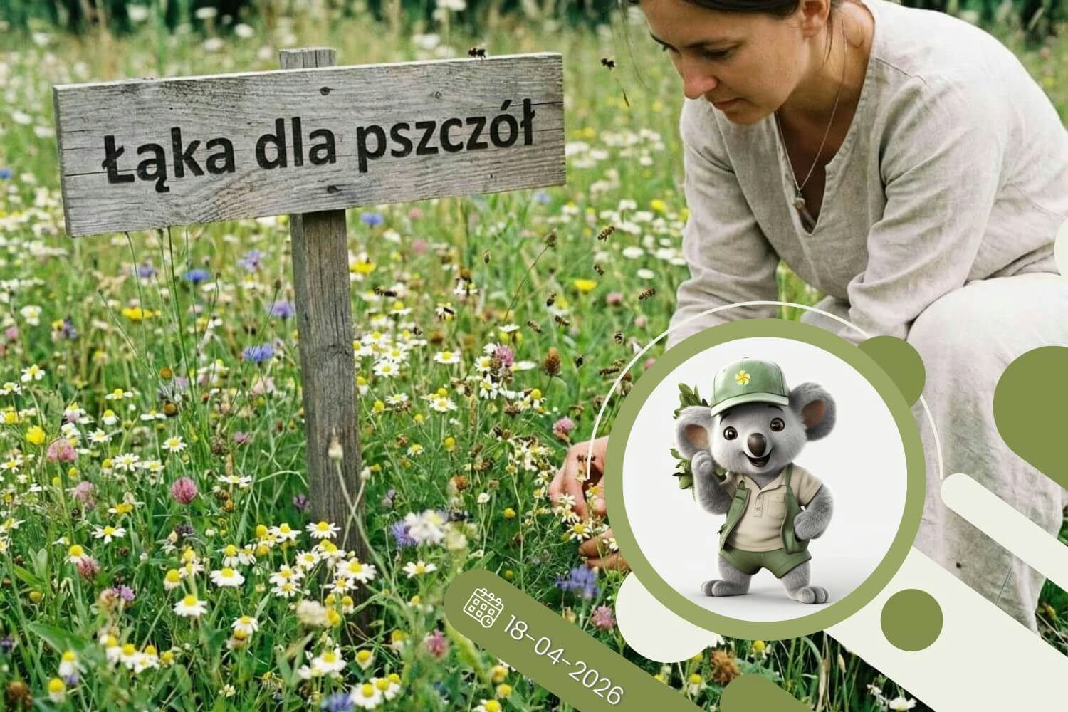 Łąka przyjazna pszczołom - wszystko co musisz wiedzieć, by stworzyć bzyczący raj