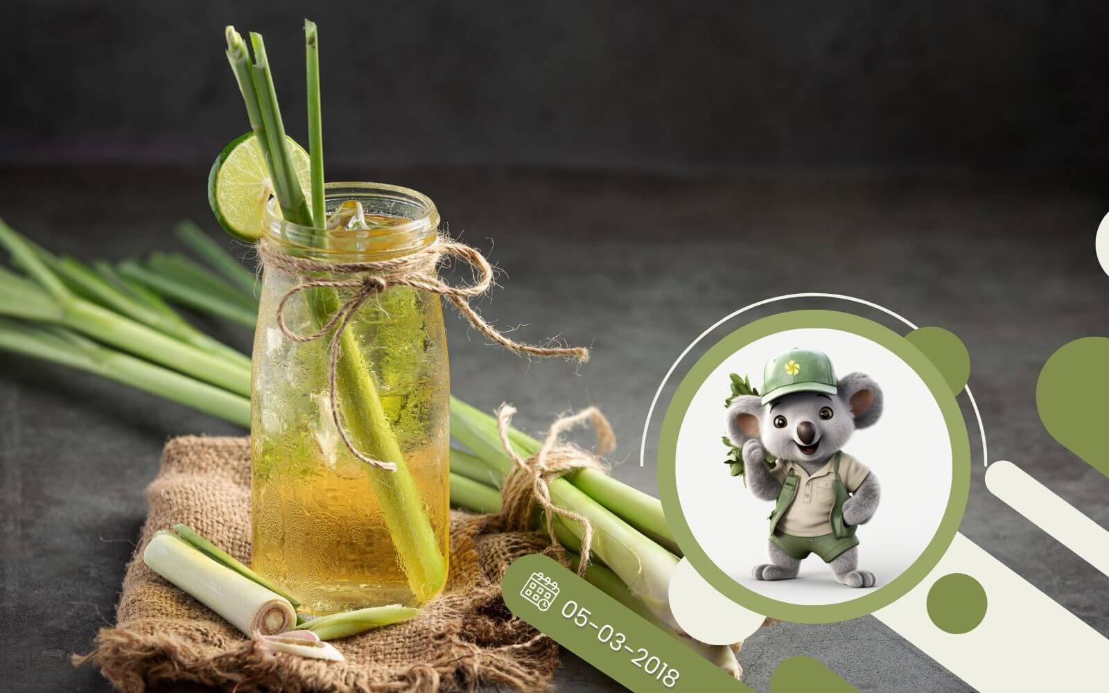 Ziołowy kącik - T jak Trawa Cytrynowa