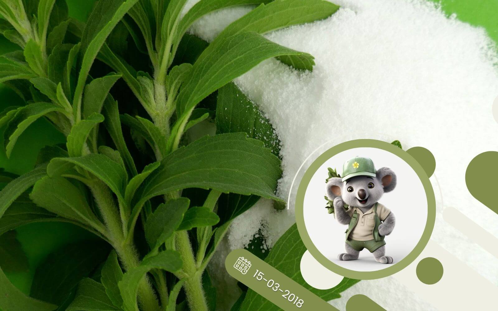 Ziołowy kącik - S jak Stewia