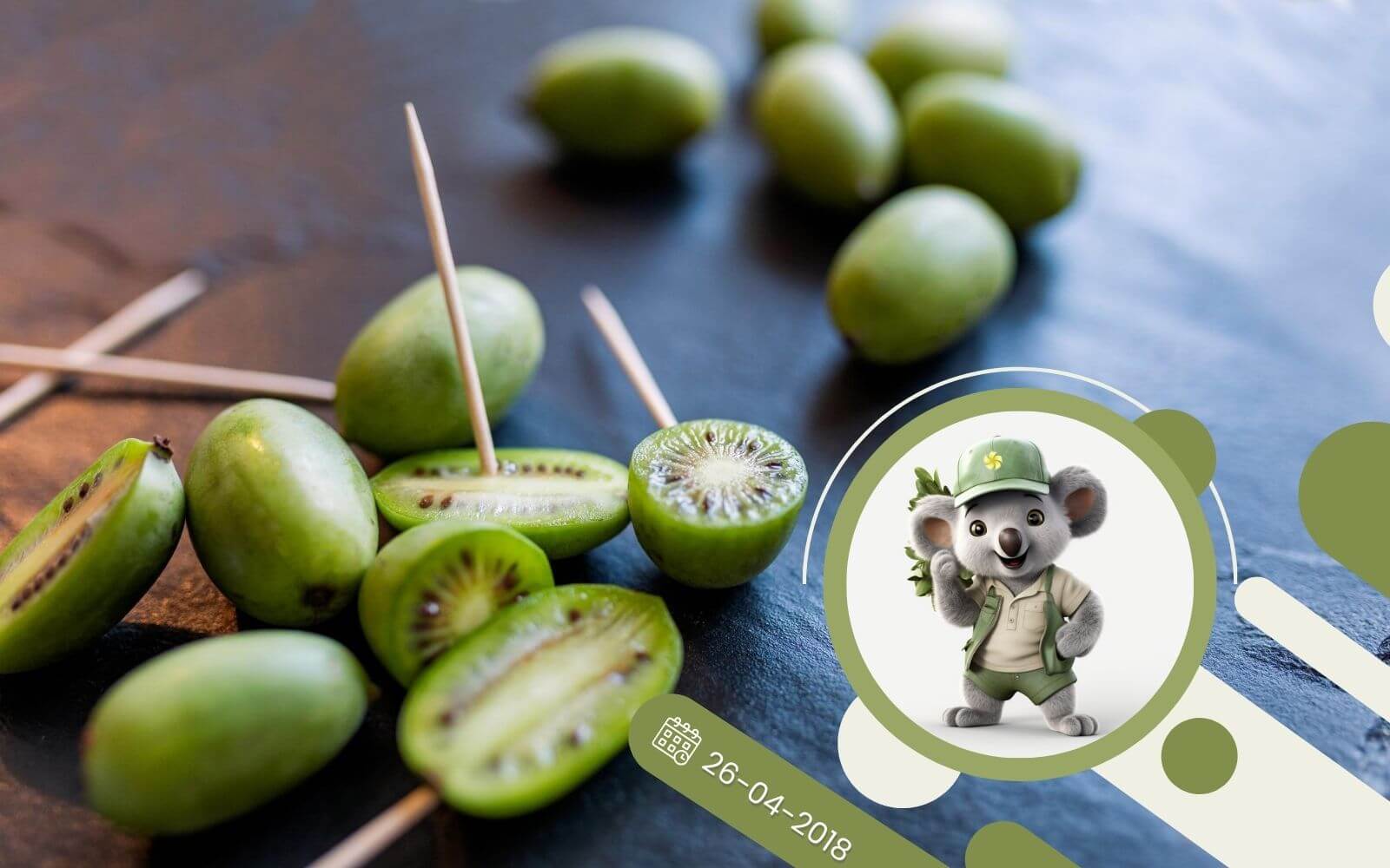 Mini Kiwi - Aktinidia jak uprawiać w Polsce?