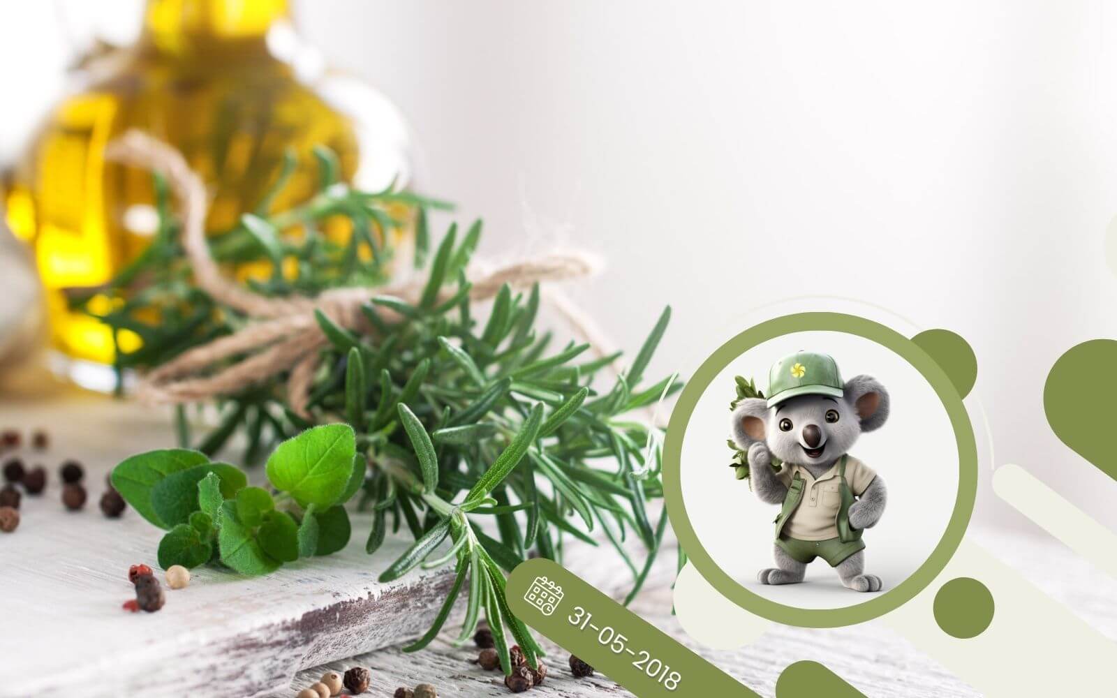 Ziołowy kącik - R jak Rozmaryn