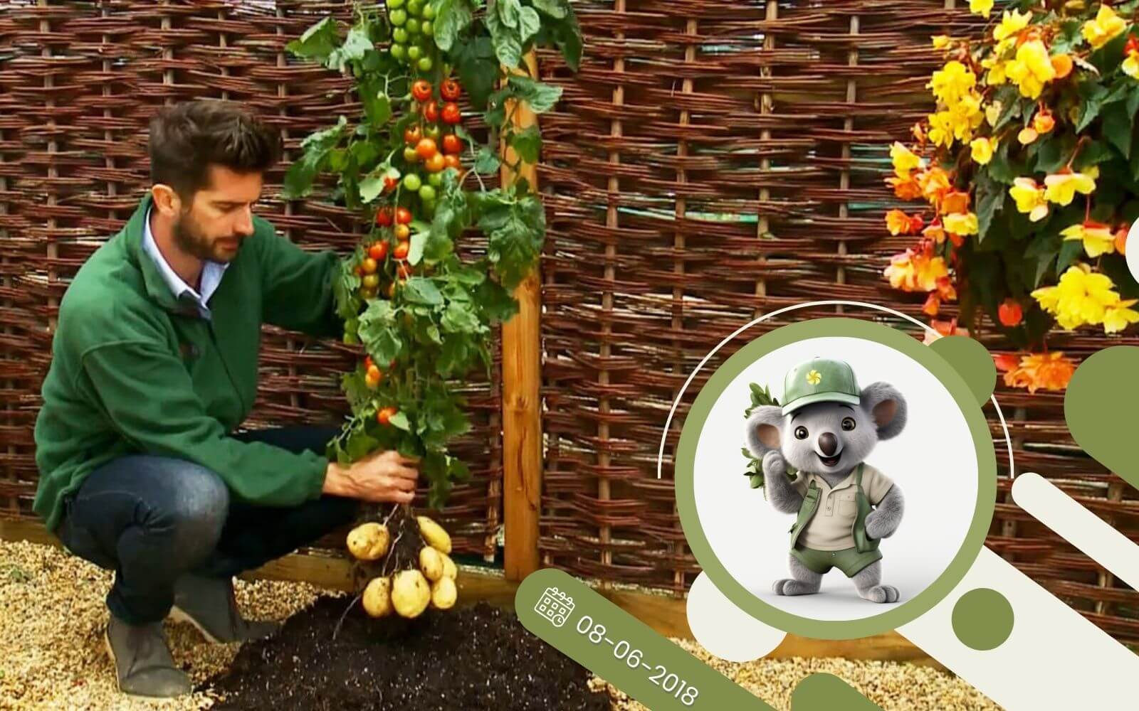 Ciekawe krzyżówki roślin