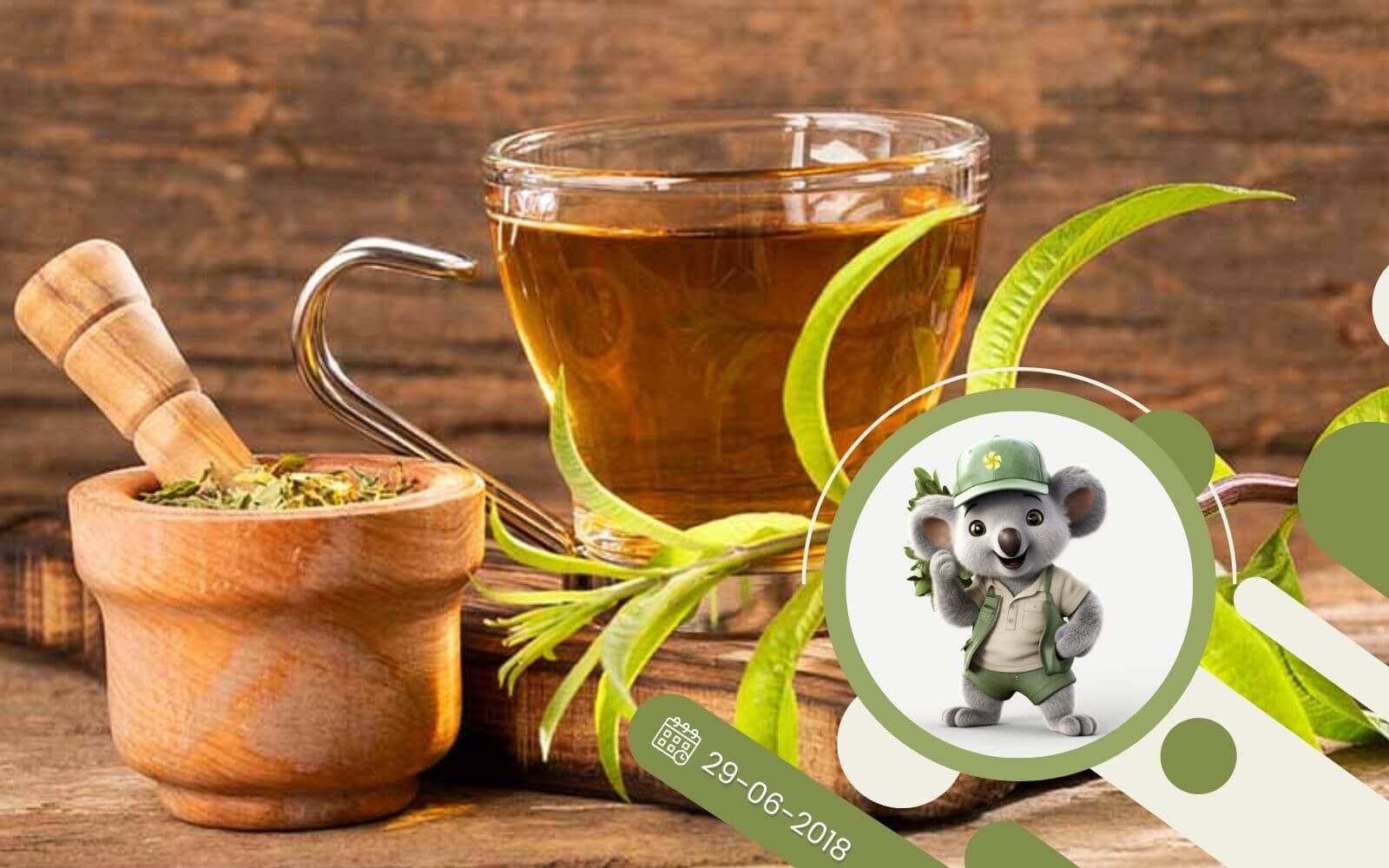 Ziołowy kącik - L jak Lippia