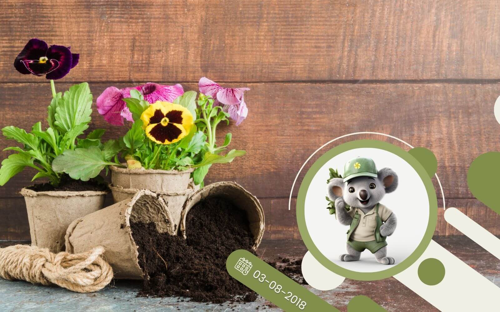 Jakie podłoże dla roślin jest najlepsze?